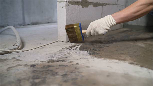 SJ Waterproofing Pros Crawl Space Encapsulation coverage map for Erin, TN and surrounding area